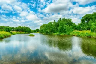 Photo #4: 13659418 Listing 