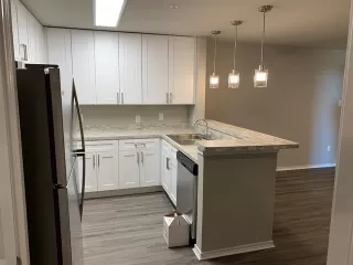 Photo #2: 20909067 Listing