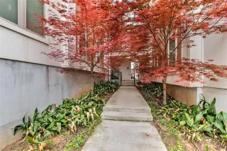 Photo #3: 21020678 Listing