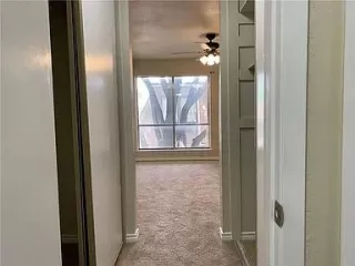 Photo #5: 21031571 Listing