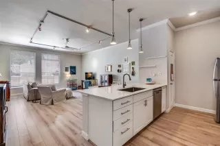 Browse active condo listings in BELVEDERE