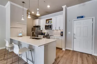 Photo #4: 21033761 Listing