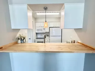 Photo #3: 21048810 Listing 