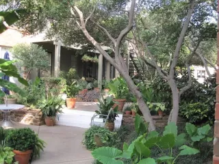 Photo #6: 21049579 Listing 