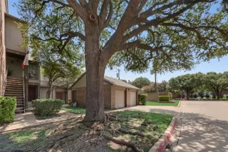 Photo #3: 21054552 Listing