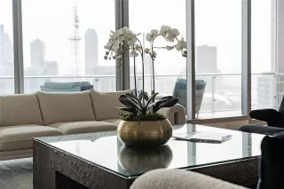 Photo #5: 21075722 Listing 