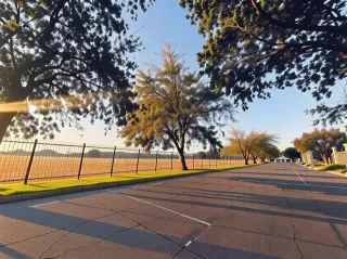 Photo #4: 21112069 Listing 