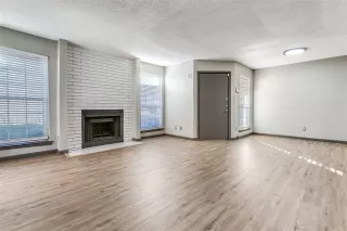 Photo #3: 21120302 Listing 