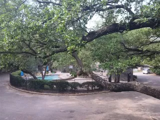 More Details about MLS # 21139193 : 7456 E NORTHWEST HIGHWAY #H 125