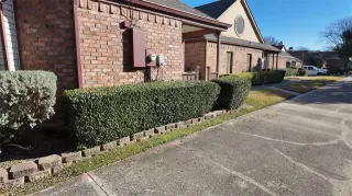 Photo #6: 21156943 Listing 