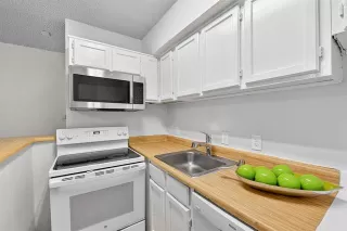 Photo #5: 21159977 Listing