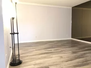 Photo #5: 21164299 Listing