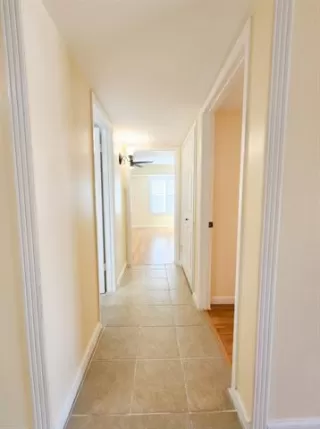 Photo #3: 21169236 Listing 