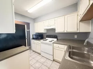 Photo #6: 21170648 Listing 