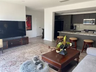 Photo #5: 21200312 Listing