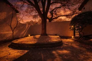 Photo #4: 21200832 Listing 