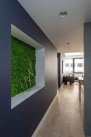 Photo #2: 21201353 Listing 