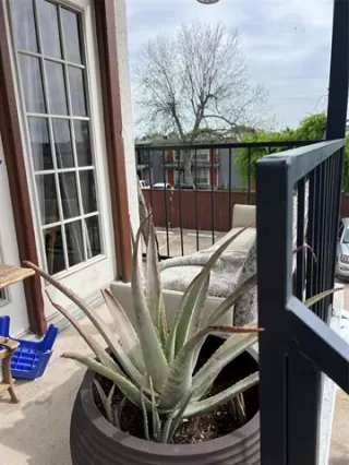 Photo #6: 21207949 Listing 