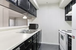 Photo #4: 21211304 Listing 