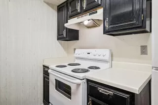 Photo #5: 21211304 Listing 