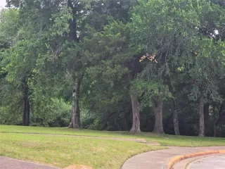 Photo #4: 21264349 Listing