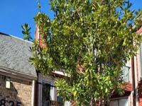 Primary Photo for MLS#: 20390615
