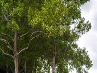 More Details about MLS # 20471498 : 5626 PRESTON OAKS ROAD #25C