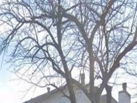 More Details about MLS # 20823206 : 702 VALIANT CIRCLE