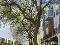 More Details about MLS # 20953880 : 8610 TURTLE CREEK BOULEVARD #105